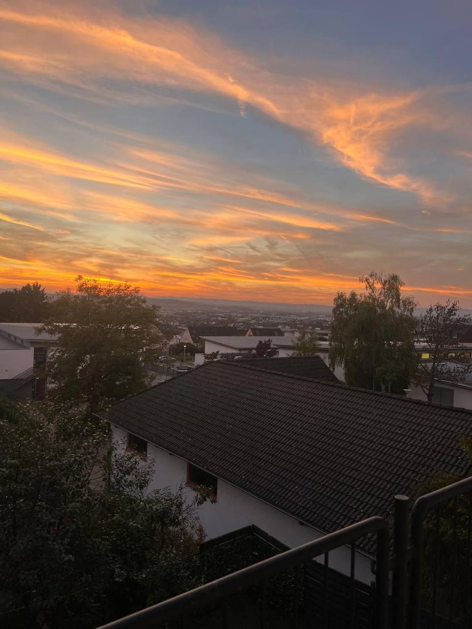 Urbar Rheinview Sunset In Urbar公寓 外观 照片
